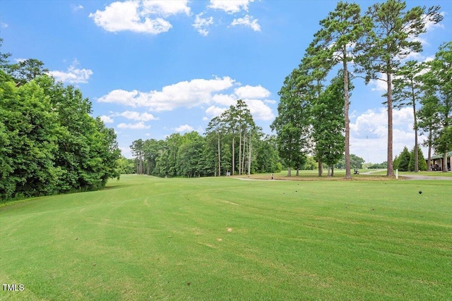 4234 Belmont Villas Way, Rocky Mount, NC 27809 - photo 34