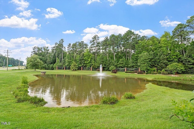 4234 Belmont Villas Way, Rocky Mount, NC 27809 - photo 37