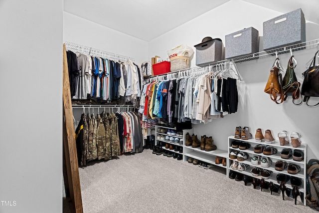 20 Kola Nut, Smithfield, NC 27577 - walk in closet featuring carpet floors