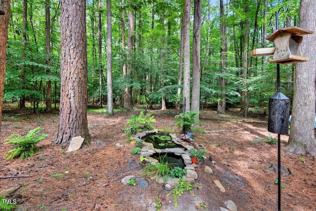111 Hidden Valley Dr, Chapel Hill, NC 27516 - photo 29