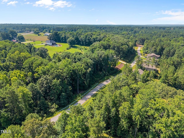 9004 Patmos Way, Wake Forest, NC 27587 - photo 12