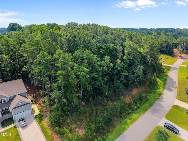 9004 Patmos Way, Wake Forest, NC 27587 - photo 3
