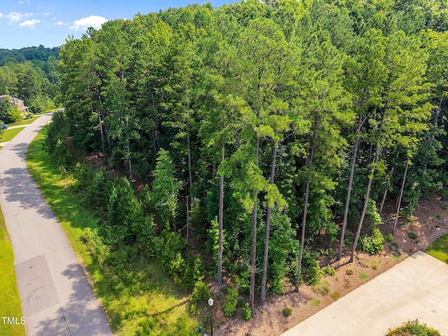 9004 Patmos Way, Wake Forest, NC 27587 - photo 13