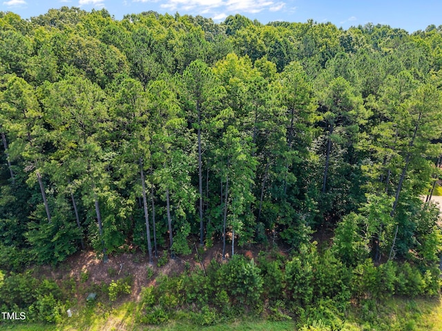 9004 Patmos Way, Wake Forest, NC 27587 - photo 15