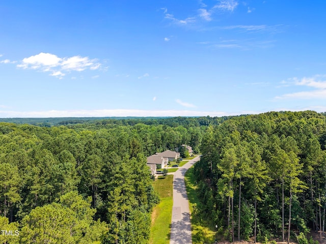 9004 Patmos Way, Wake Forest, NC 27587 - photo 16