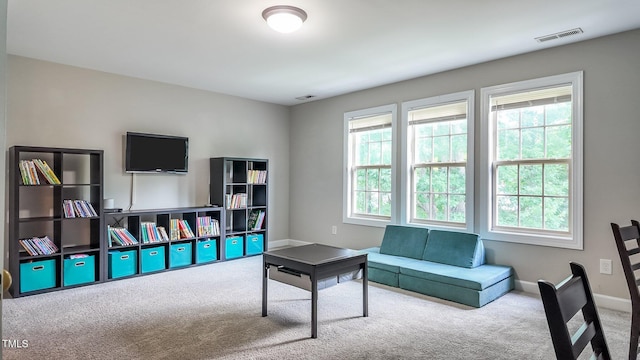 3521 Song Sparrow Dr, Wake Forest, NC 27587 - photo 29
