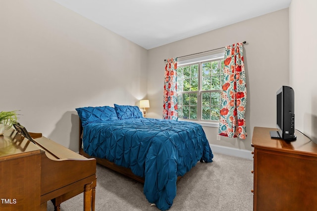 3521 Song Sparrow Dr, Wake Forest, NC 27587 - photo 18