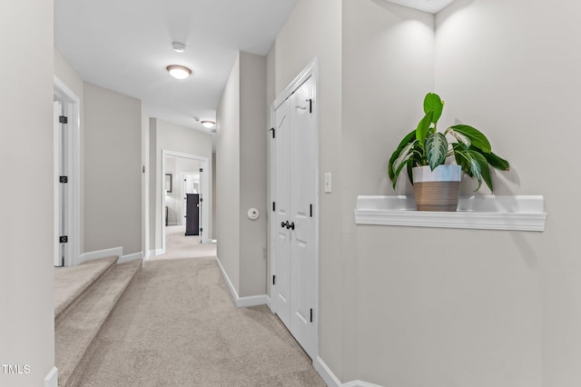 3521 Song Sparrow Dr, Wake Forest, NC 27587 - photo 28