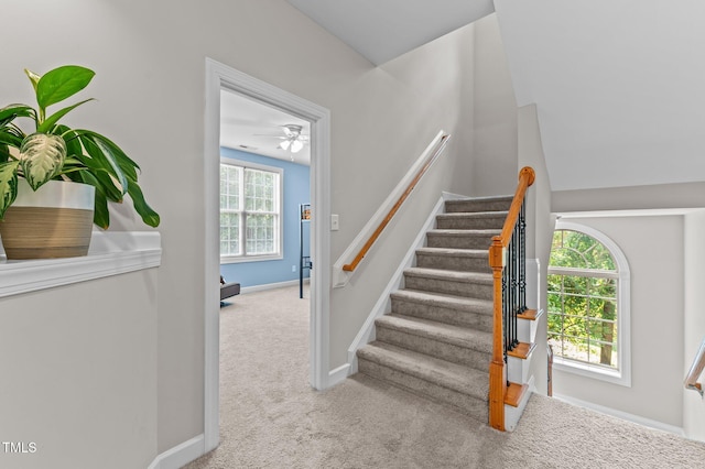 3521 Song Sparrow Dr, Wake Forest, NC 27587 - photo 38