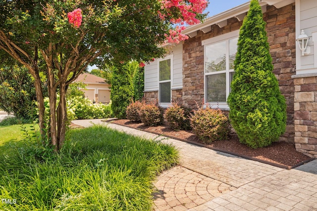 501 Tranquil Sound Dr, Cary, NC 27519 - view of yard