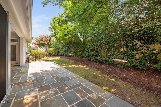 501 Tranquil Sound Dr, Cary, NC 27519 - view of yard with a patio