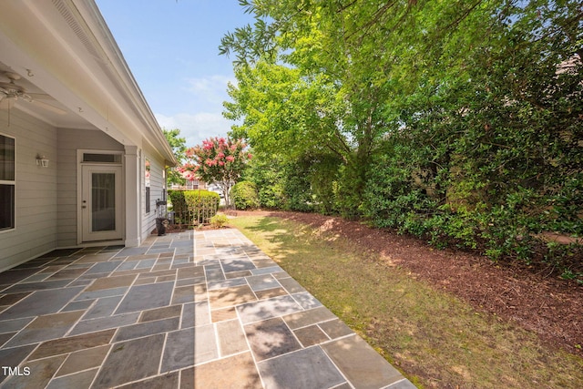 501 Tranquil Sound Dr, Cary, NC 27519 - view of yard featuring a patio area