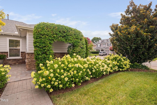 501 Tranquil Sound Dr, Cary, NC 27519 - view of green lawn