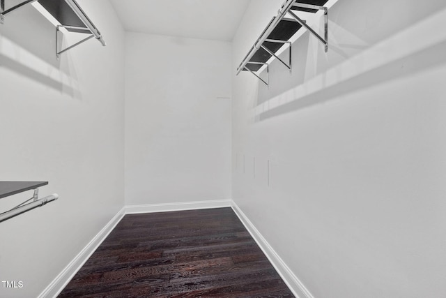 501 Tranquil Sound Dr, Cary, NC 27519 - spacious closet with wood finished floors