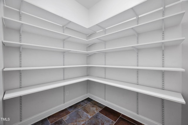 501 Tranquil Sound Dr, Cary, NC 27519 - view of pantry