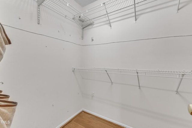5513 Enoree Ln, Raleigh, NC 27616 - walk in closet featuring light wood-type flooring