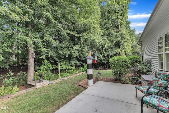 5513 Enoree Ln, Raleigh, NC 27616 - view of patio