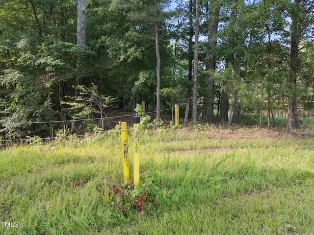4688 Dorsey Rd, Oxford, NC 27565 - photo 8