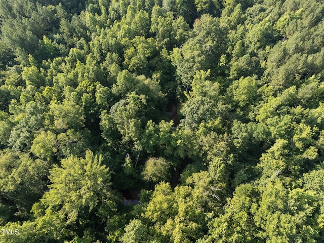4688 Dorsey Rd, Oxford, NC 27565 - photo 17