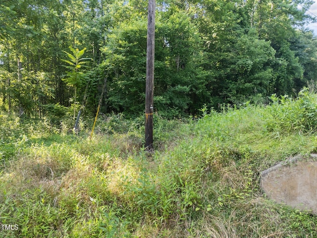 4688 Dorsey Rd, Oxford, NC 27565 - photo 26