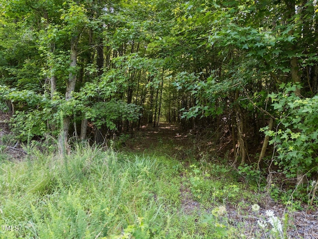 4688 Dorsey Rd, Oxford, NC 27565 - photo 18