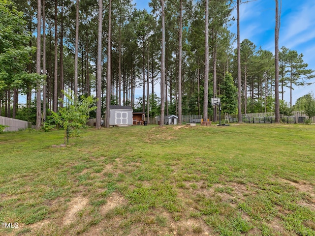 5 Chinook St, Smithfield, NC 27577 - photo 29