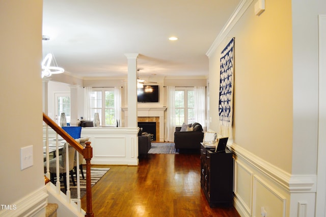 114 Bridle Path, Pittsboro, NC 27312 - corridor featuring plenty of natural light, dark wood finished floors, a wainscoted wall, ornamental molding, and a decorative wall