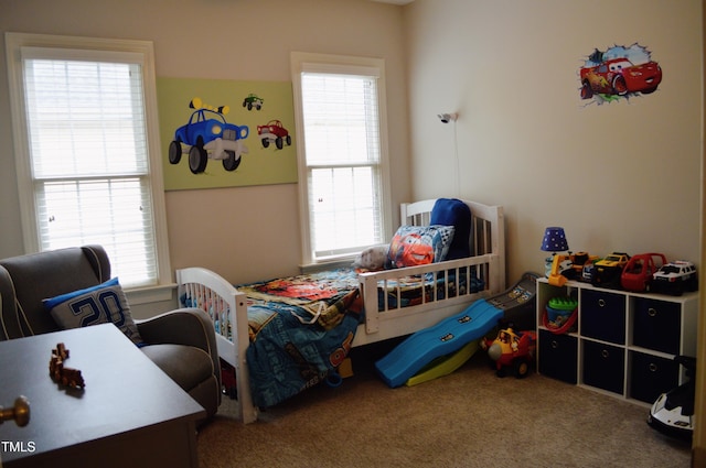 114 Bridle Path, Pittsboro, NC 27312 - bedroom with carpet and multiple windows