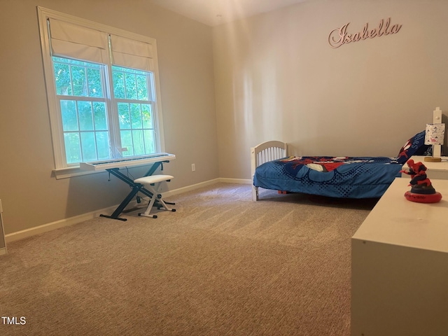 114 Bridle Path, Pittsboro, NC 27312 - photo 21