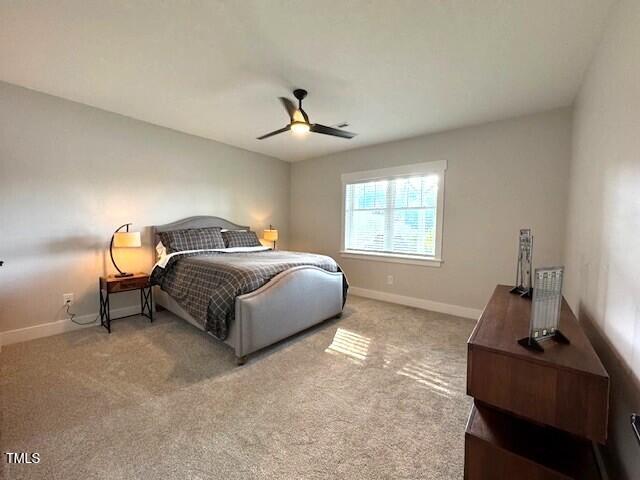 220 Robin Ln, Semora, NC 27343 - photo 30