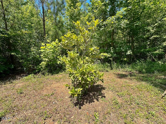 00 Gum Pond Rd, Warrenton, NC 27589