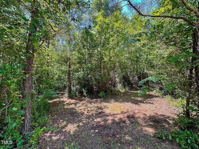 00 Gum Pond Rd, Warrenton, NC 27589
