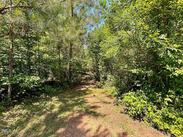 00 Gum Pond Rd, Warrenton, NC 27589