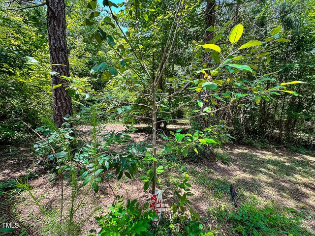 00 Gum Pond Rd, Warrenton, NC 27589
