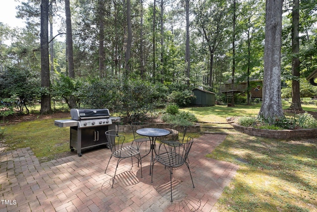 700 Tinkerbell Rd, Chapel Hill, NC 27517 - view of patio / terrace featuring a grill