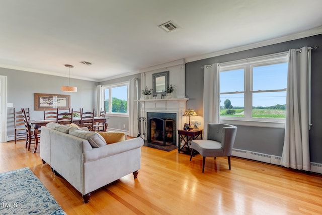 10781 US-158, Reidsville, NC 27320 - living area with light wood finished floors, a fireplace, crown molding, and baseboard heating