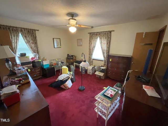 5924 Woodcrest Dr, Raleigh, NC 27603 - office featuring plenty of natural light, carpet flooring, and a ceiling fan