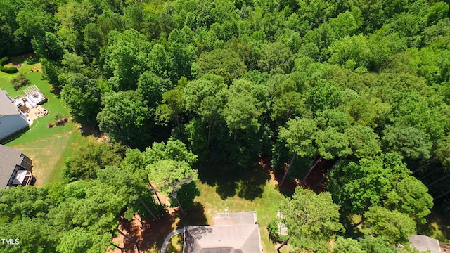 256 Running Springs Ct, Clayton, NC 27527 - photo 52