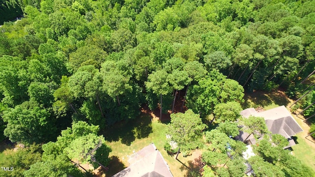 256 Running Springs Ct, Clayton, NC 27527 - photo 53