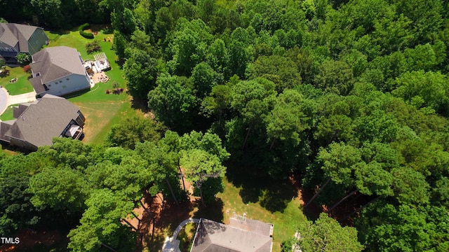 256 Running Springs Ct, Clayton, NC 27527 - photo 54