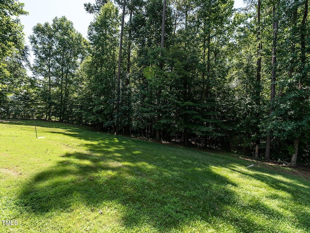 256 Running Springs Ct, Clayton, NC 27527 - photo 48