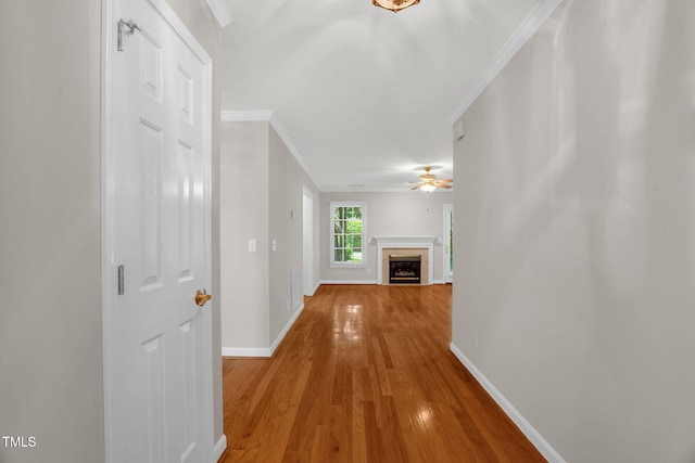 505 Alamance Rd Ste 108, Burlington, NC 27215 - photo 6