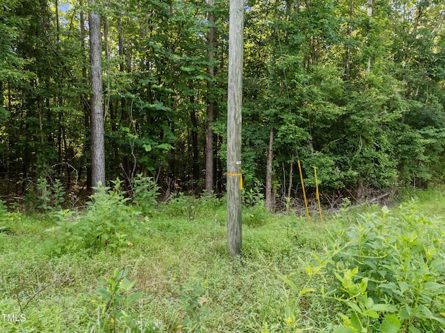 4710 Dorsey Rd, Oxford, NC 27565 - photo 19