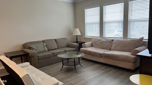 803 Courting St, Apex, NC 27523 - photo 13