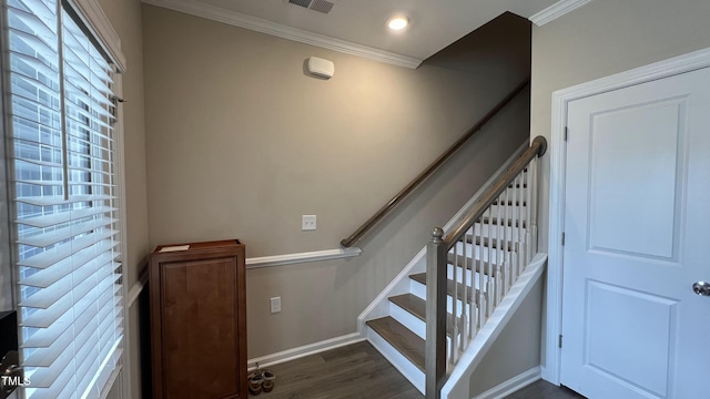 803 Courting St, Apex, NC 27523 - photo 41