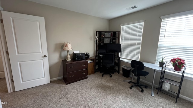 803 Courting St, Apex, NC 27523 - photo 50