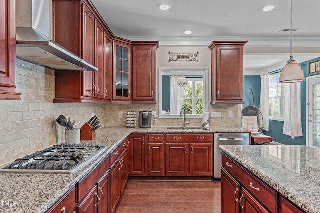 1950 Firenza Dr, Apex, NC 27502 - kitchen with wall chimney range hood, stainless steel appliances, healthy amount of natural light, dark wood finished floors, and ornamental molding