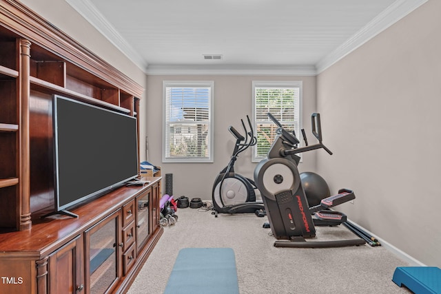 1950 Firenza Dr, Apex, NC 27502 - exercise room featuring ornamental molding and carpet floors