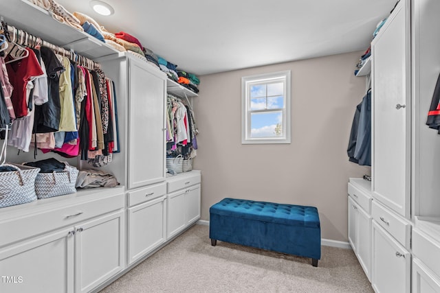 1950 Firenza Dr, Apex, NC 27502 - spacious closet featuring light colored carpet