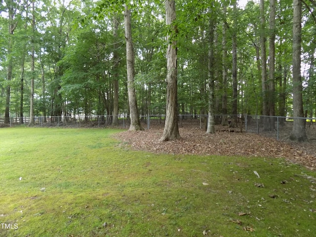 195 Eagle Stone Rdg, Youngsville, NC 27596 - photo 7